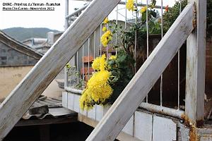 034 - Tuanshan